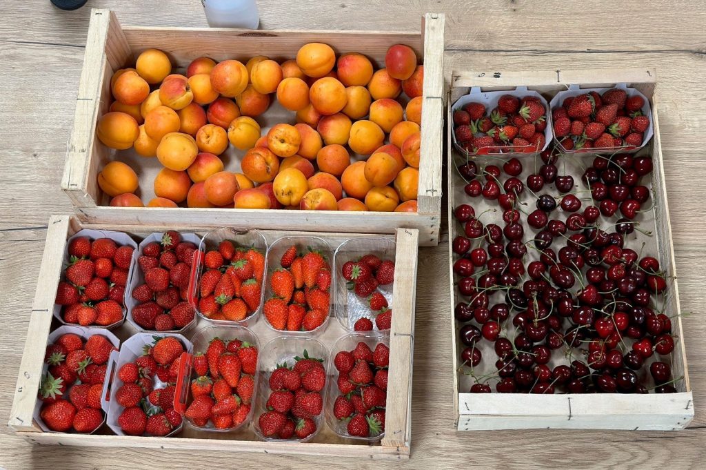 Paniers de fruits pour la semaine de la qualité de vie au travail